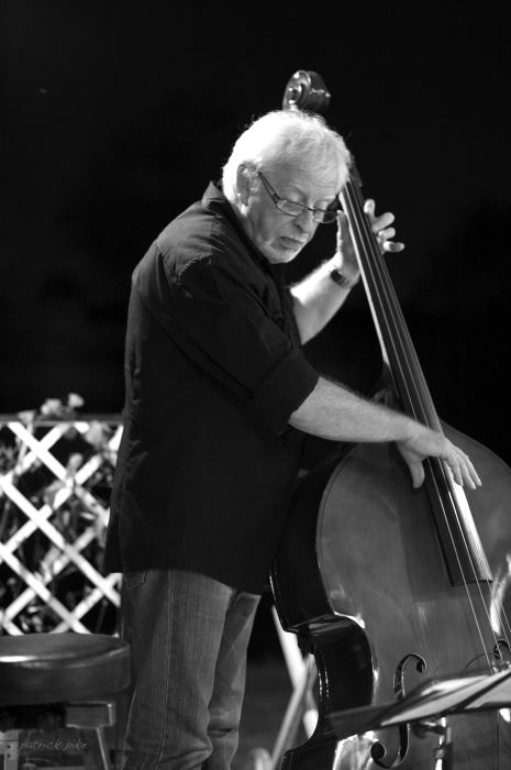 Contrebassiste Duo St Louis